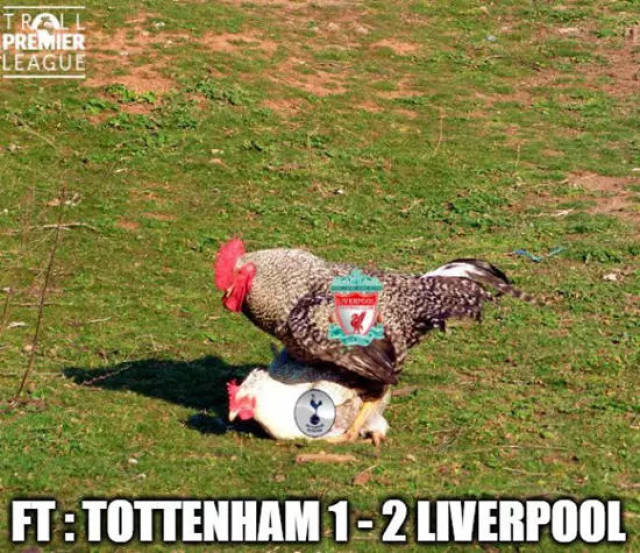 尼克斯vs魔术前瞻：唐斯出战成疑，尼克斯主场力争复仇